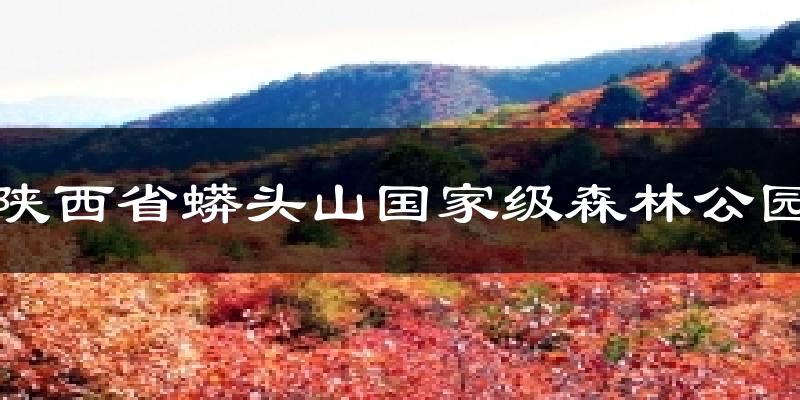 陕西省蟒头山国家级森林公园今日天气